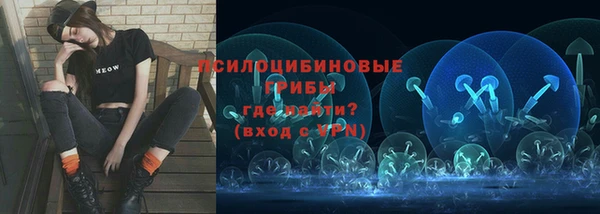 apvp Новозыбков