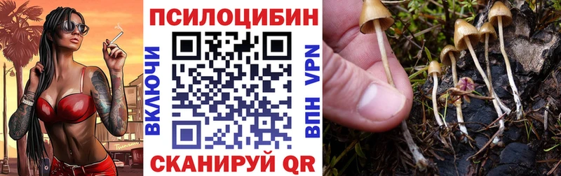 darknet телеграм  Юрьев-Польский  Псилоцибиновые грибы Psilocybine cubensis 